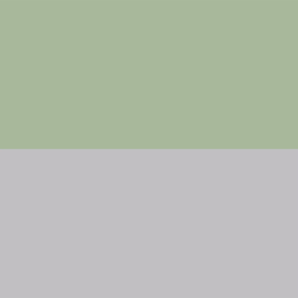 History transition pic background.png